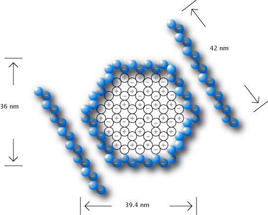 File:Igemharv06 Katie Val cylinderI.gif