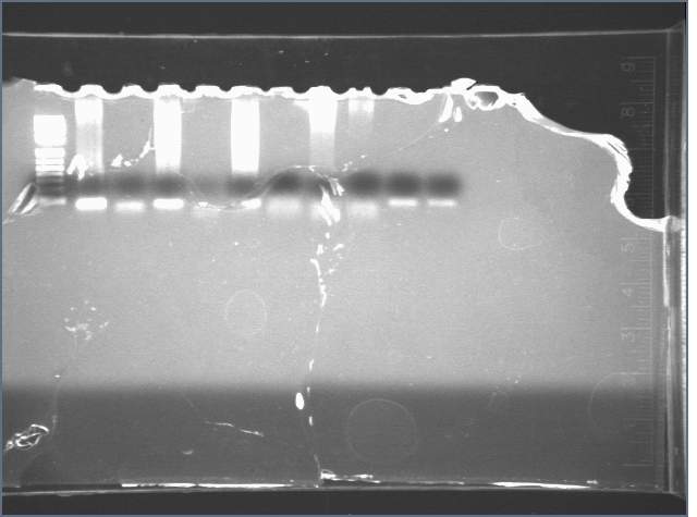 File:2006-07-19 21hr 43mineg.jpg