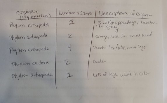 File:Rsz 1rsz 20160218 134431.jpg