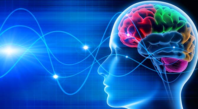 File:BME100 Group14.jpg