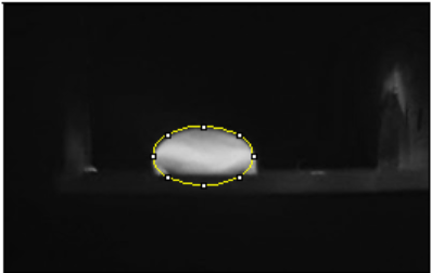 File:G11 positive PCR.png