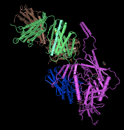 gp120 crystal structure