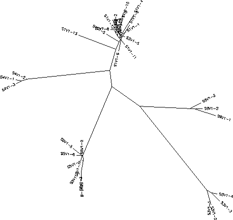 Visit 1 tree diagram