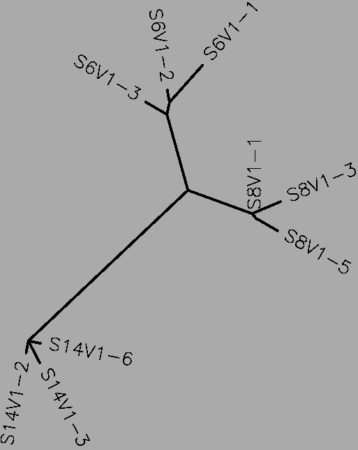 Moderate Progressor Visit 1 Tree