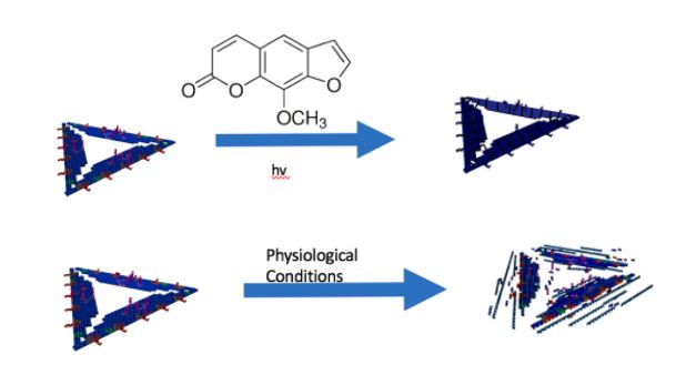 File:Alison combined 8MOP.jpg