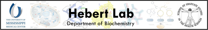 Hebert Lab