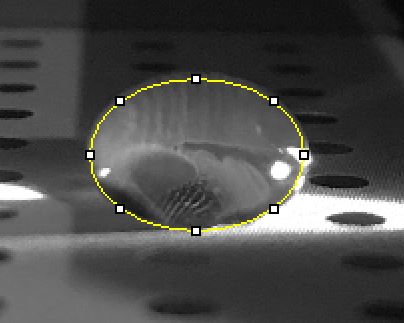 File:0.5 Group4 2018.jpg