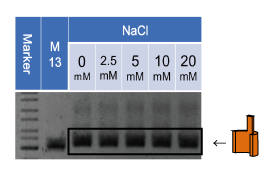 File:1-1(a)-3-wall-NaCl.png