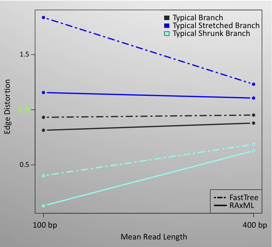 The typical distortion of a branch improves greatly if the tree is computed from 400bp reads, rather than from 100bp reads.