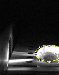 Description of image