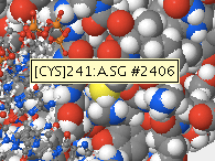 A sulfur atom in hOGG1.