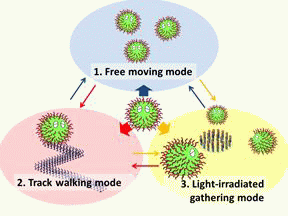 File:Biomod2011 Team Tokyo 111101Biomod ThreeMod 3 resized.gif