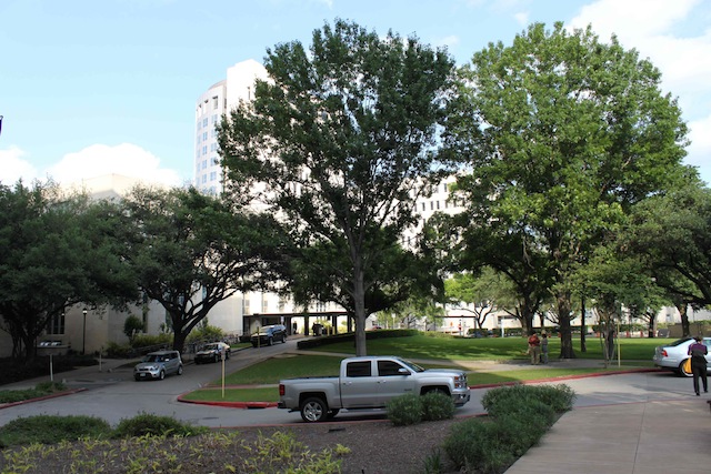 Photo of the campus of UT medical school
