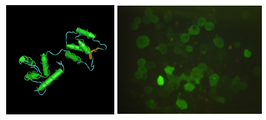 File:Macintosh HD-Users-nkuldell-Desktop-109S07 mod3 coverart.png