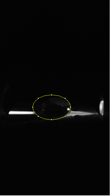 Description of image