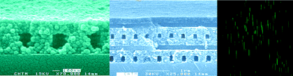 The first two panels are SEM of nanochannels with silica nanoparticle walls. The third (right) panel is a confocal fluorescence image of lambda DNA accumulated in porous nanochannels.