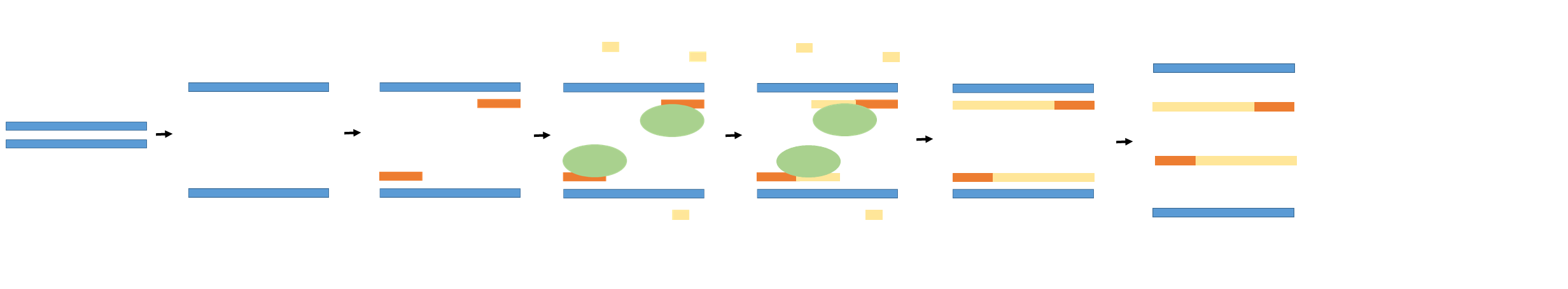 Double stranded DNA is heated and denatures into single stranded DNA. A primer (orange) then binds to the end of the target sequence. The enzyme taq polymerase (green) then binds to the primer sequence and attaches dNTPs (yellow) by base pairing to lengthen the primer DNA. The process continues through use of thermal cycling to continue copying the target sequence.