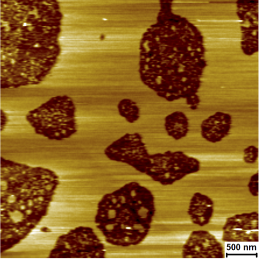 File:GP160 on mica.png