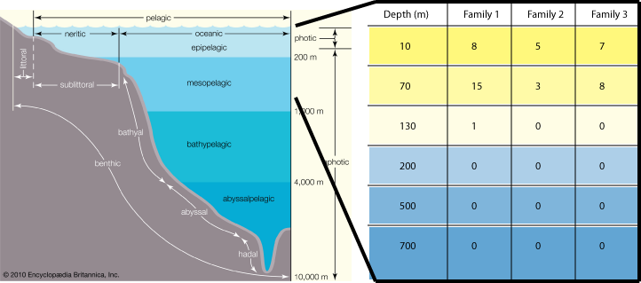 Distribution of PhotoRC family metagenomic sequences along the HOT/ALOHA marine depth column
