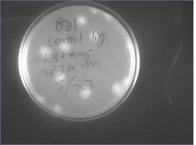 File:B21 Control Lig 7-23.jpg