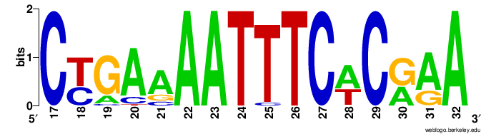 File:Consensus Sequence Graph for Visits 1-4 at 17-32.png
