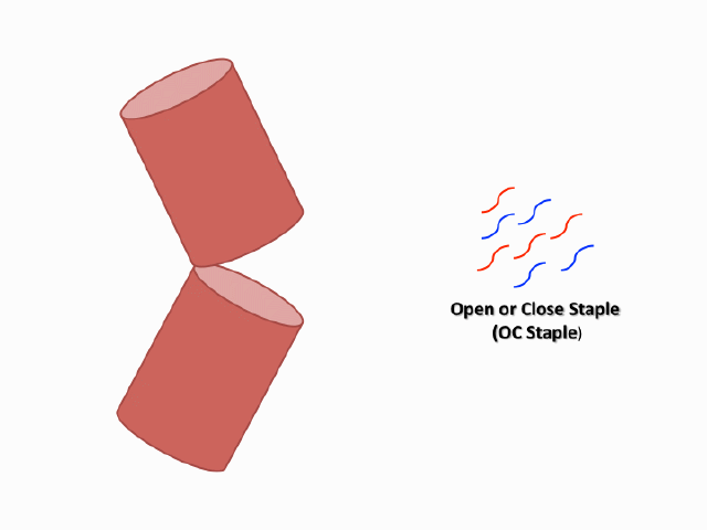 File:DNA Hairpin loop.gif