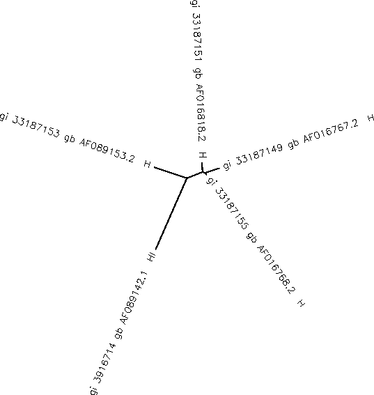 Clustal W tree diagram