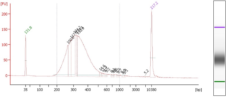 File:BioAnalyzer SkinkP3 2015-09-03.jpg