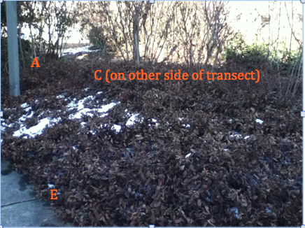 File:Screen Shot 2014-02-26 at 9.42.45 AM.png