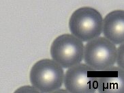 10 μm polystyrene beads