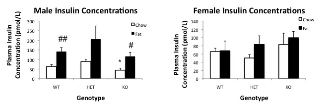File:Insulin with stats.jpg