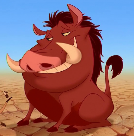 File:BME1030Group7Pumbaa.png