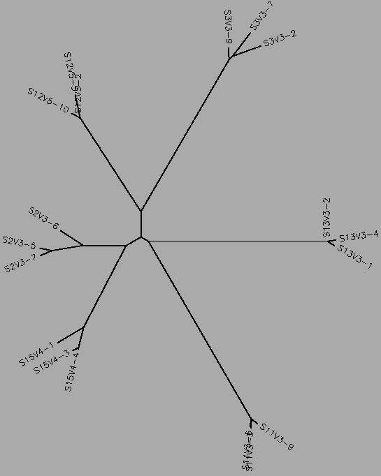 Rapid Progressor and Nonprogressor Mid-Visit Tree