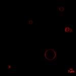 File:BM12 nanosaurs Control red+green guvs2SBred s.jpg