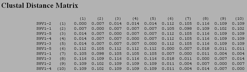 Clustdist Subjects 8 and 9