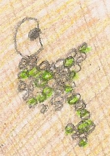 Illustration of Amoeba