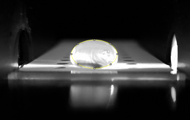 File:Screenshot (48).png