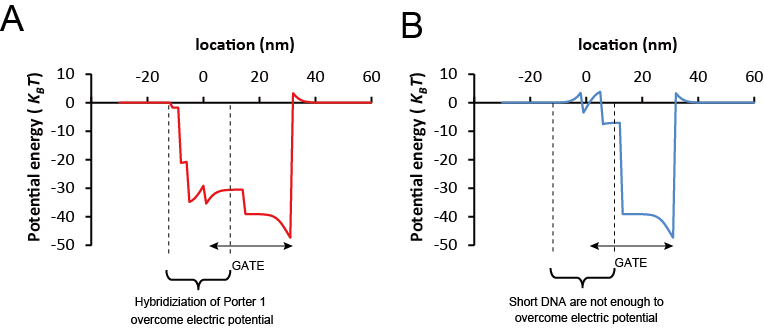 Electric potential from the top of view of the GATE