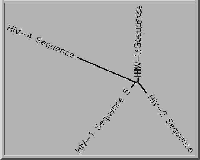 HIV-1 Alignment Unrooted Genetic tree