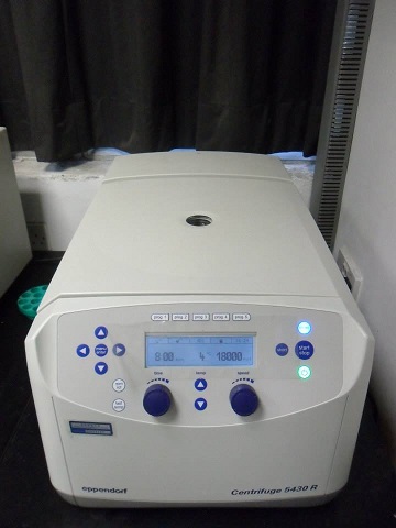 File:HKBU 2013 5430R.jpg