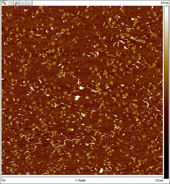 File:2012 8 2 2um gttTH2Rib3ab 2pot.jpg