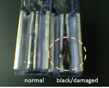 File:2012 07 burnt electroporation cuvette.jpg