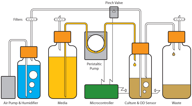 File:Evolivinator Diagram.jpg