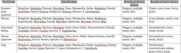 File:Screen Shot 2015-07-17 at 11.02.44 AM.png