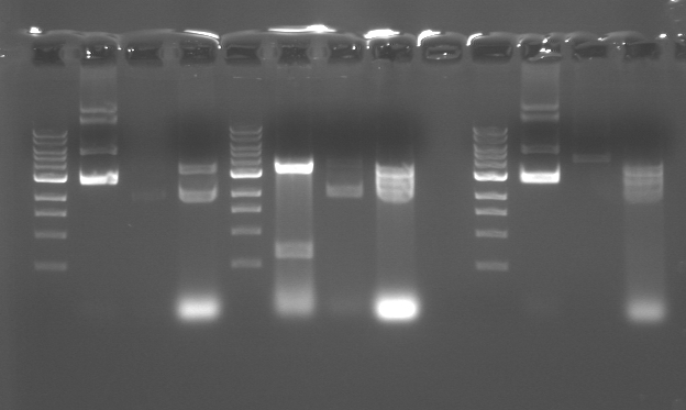 File:M2D5 Yellow Green Blue.jpg