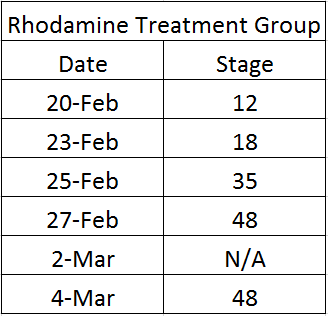 File:--Image-Rhodamine stage.png--