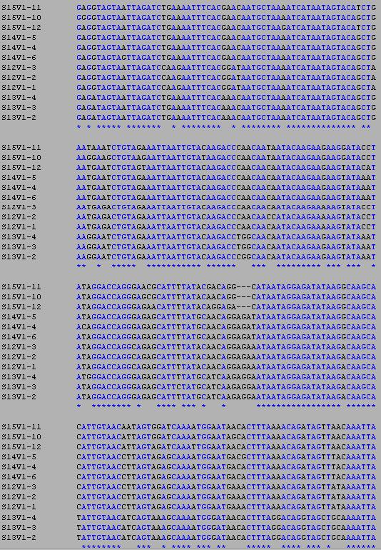 Selected ClustalW Alignment of Subjects 12, 13, 14 and 15