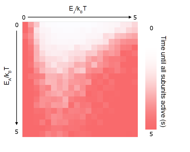 File:2014-EchiDNA-Exp-5-E Explore.png