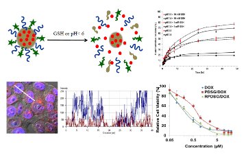 Dual responsive nanoparticle for nuclear targeted drug delivery