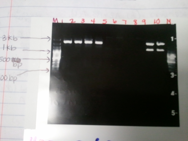 File:2012-11-01 16.32.25.jpg